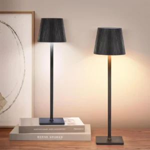 2Pcs Modern LED Desk Lamp